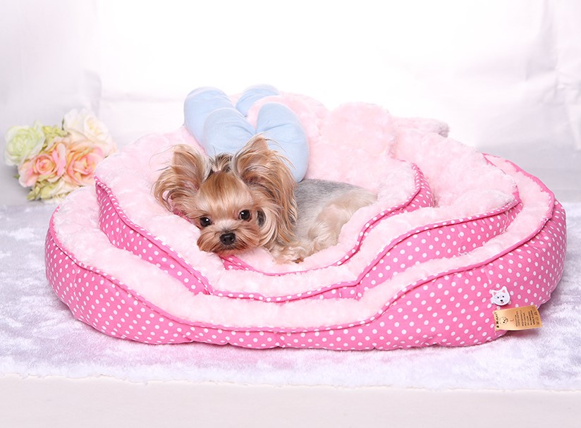 hello kitty dog bed
